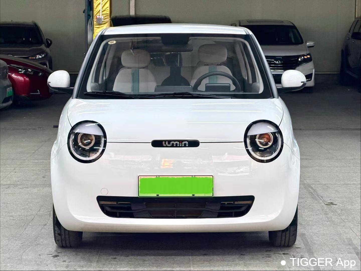 used Qiyuan 2024 Lumin 205km sailing version