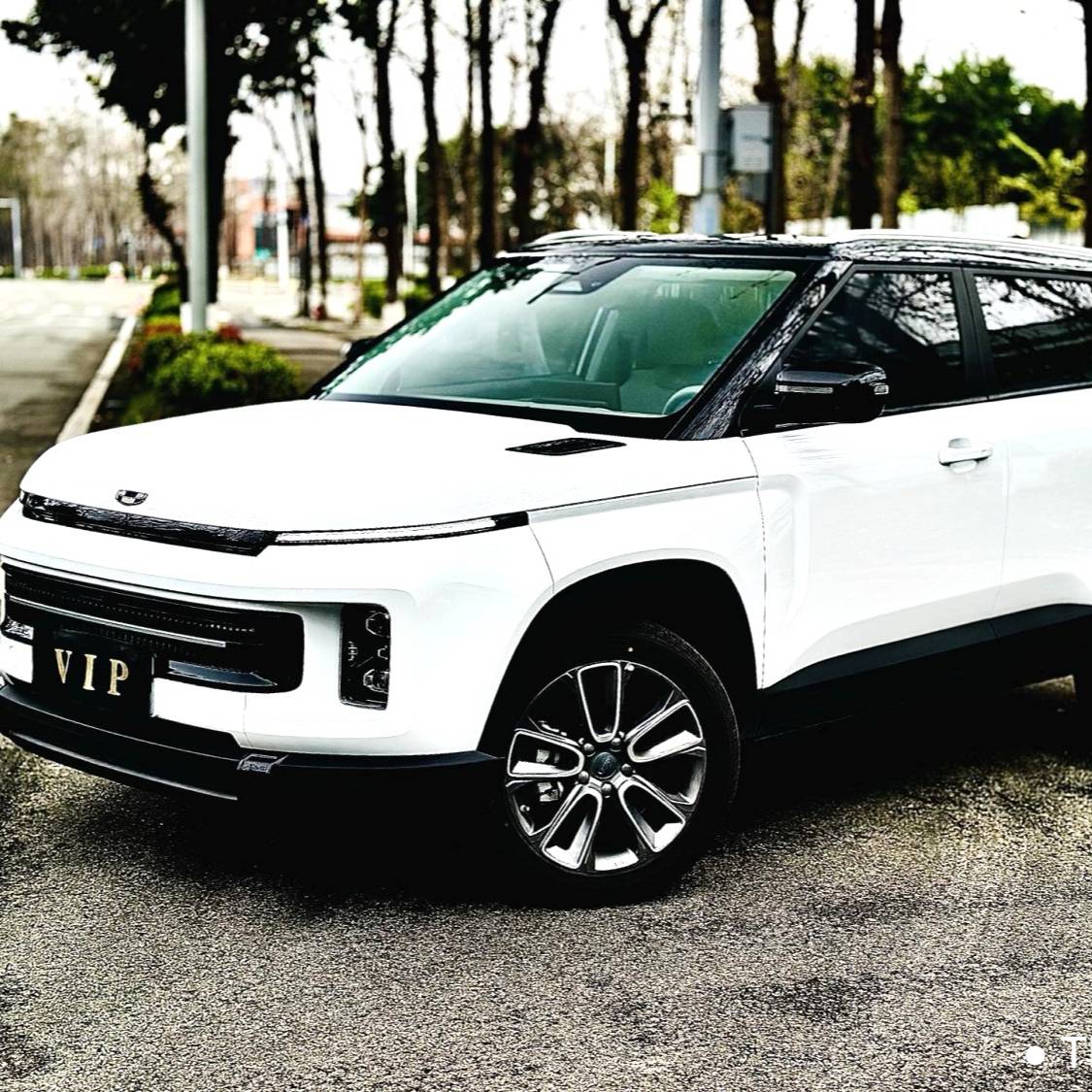 Geely 2024 ICON Linglong 1.5TD Ruyi Edition