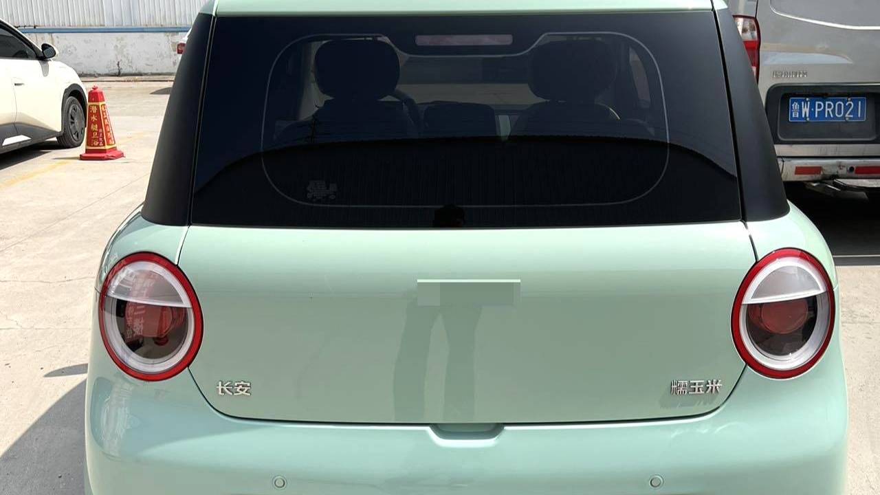 Qiyuan 2023 Lumin 301km Miqin model