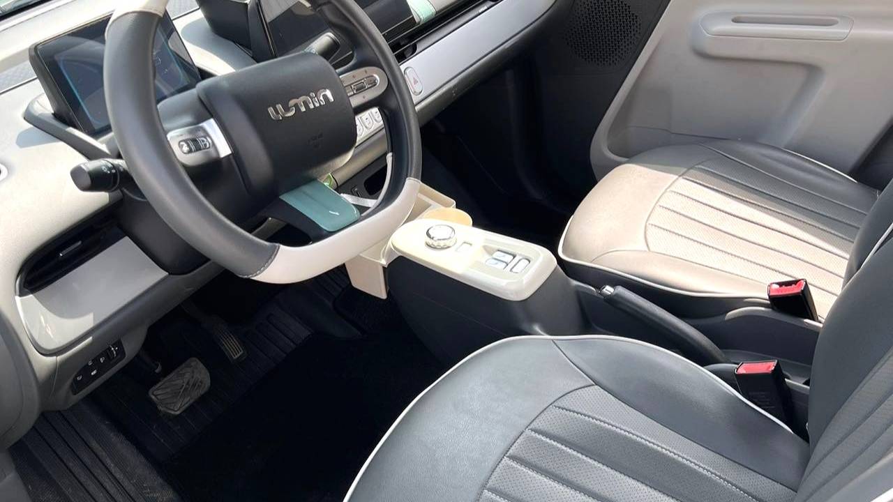 Qiyuan 2023 Lumin 301km Miqin model