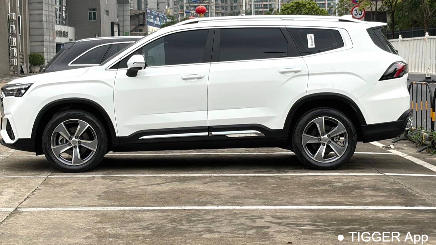 Geely 2024 Okavango 2.0T DCT Luxury Model