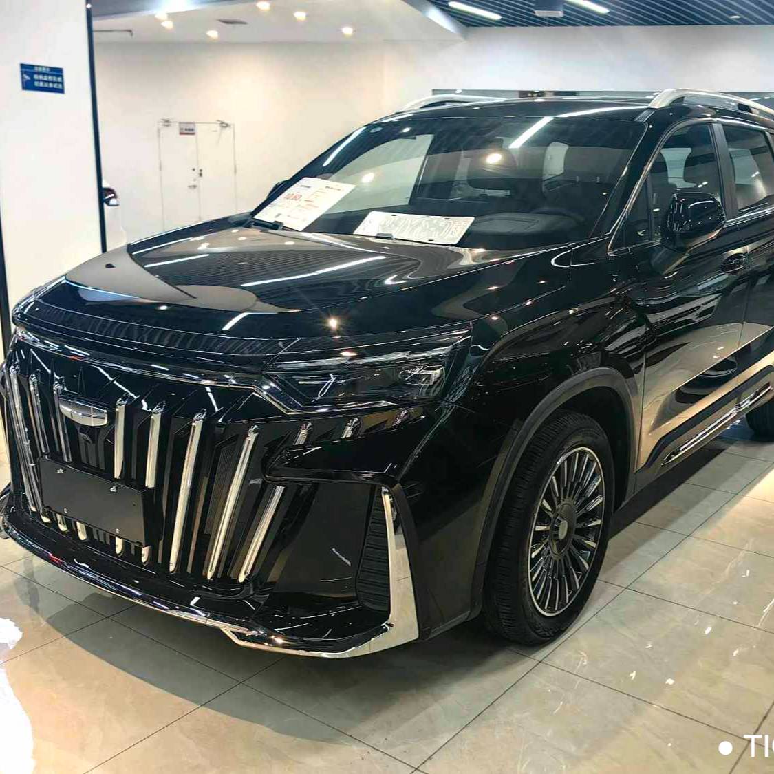 Geely 2025 Okavango 2.0T DCT Premium Edition