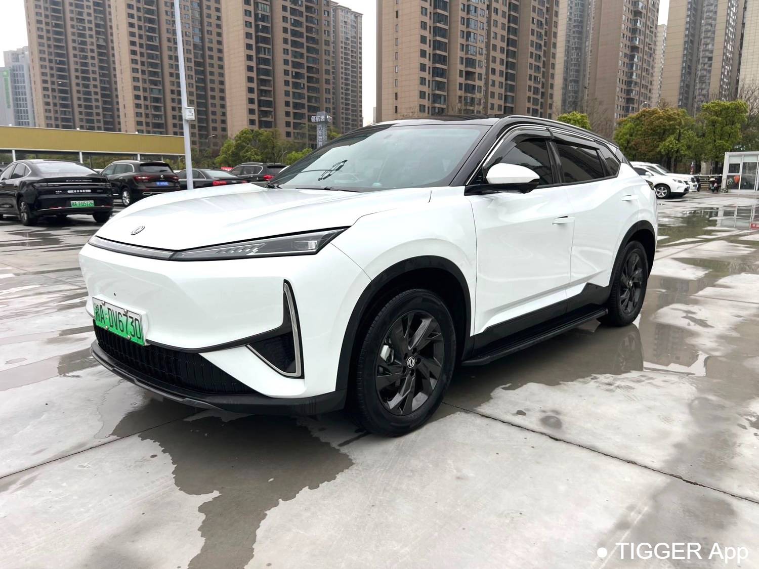 AEOLUS 2025 L7 518 Enjoyment Champion Edition