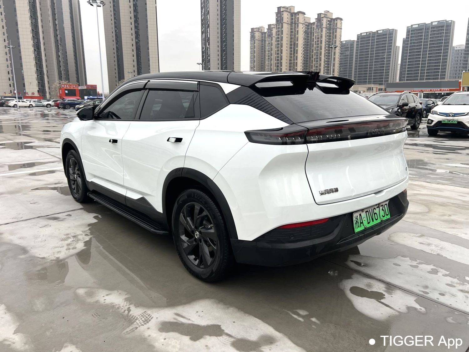 AEOLUS 2025 L7 518 Enjoyment Champion Edition