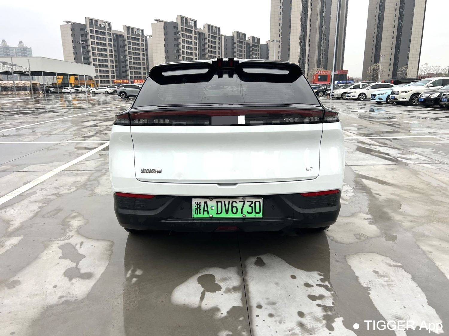 AEOLUS 2025 L7 518 Enjoyment Champion Edition