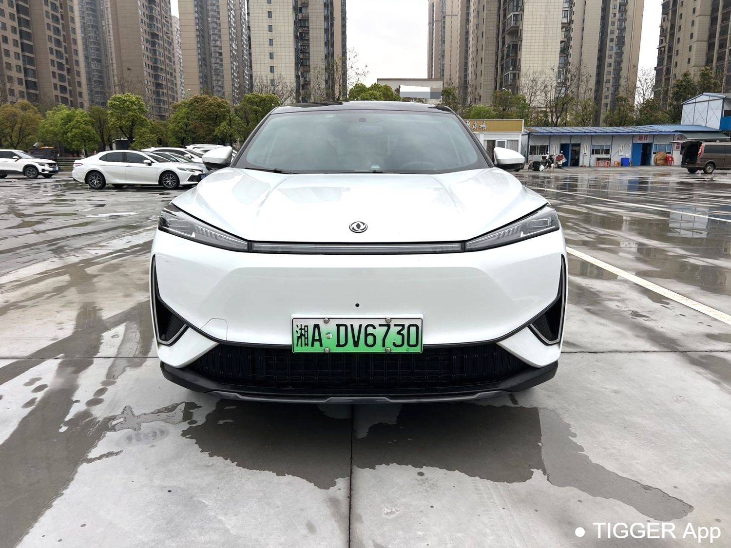 AEOLUS 2025 L7 518 Enjoyment Champion Edition