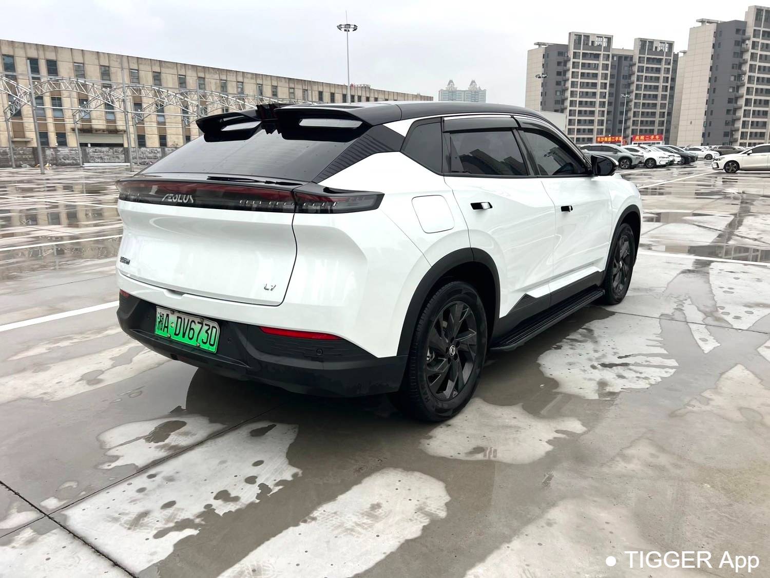 AEOLUS 2025 L7 518 Enjoyment Champion Edition