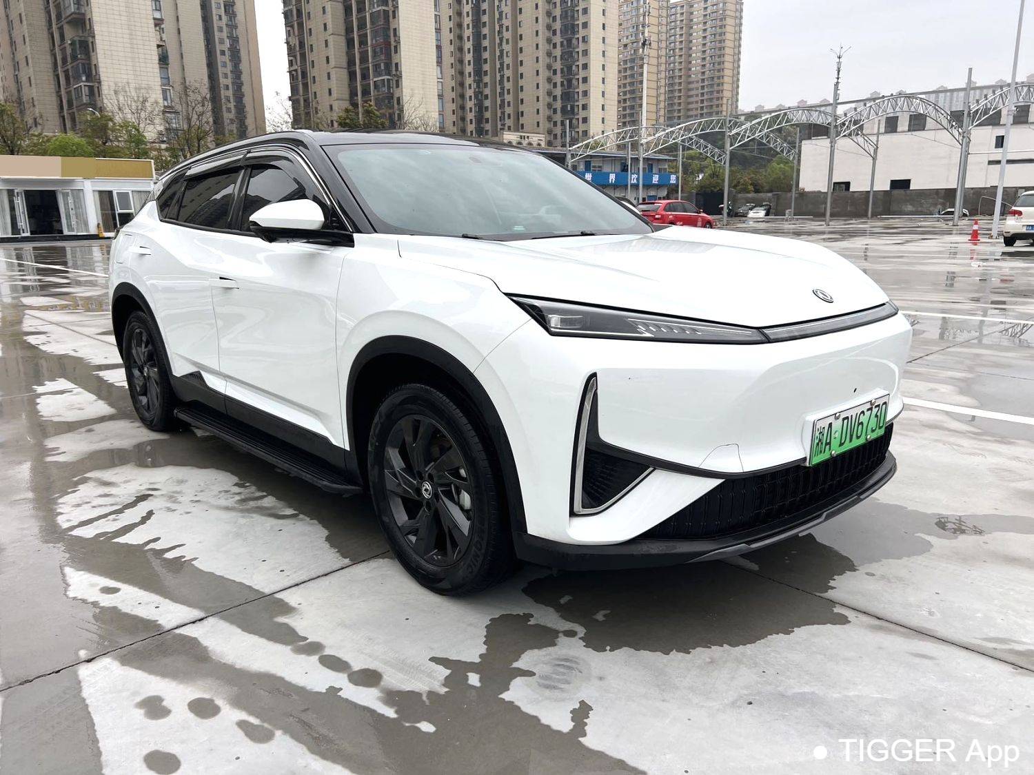 AEOLUS 2025 L7 518 Enjoyment Champion Edition