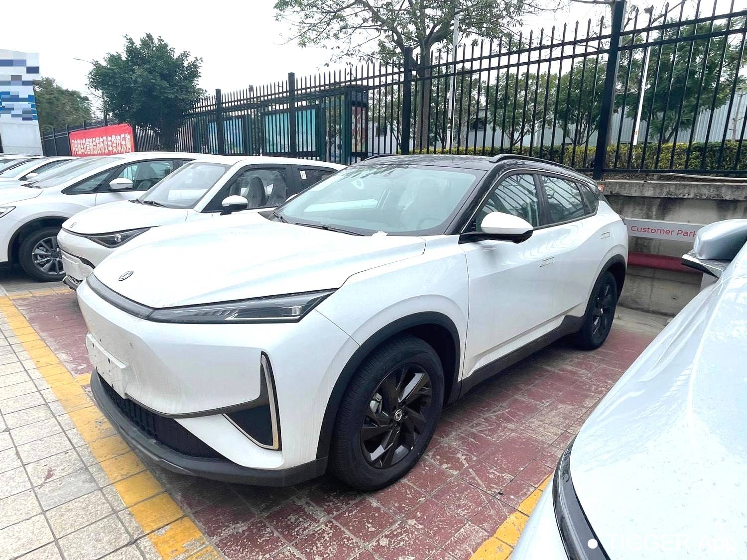 AEOLUS 2025 L7 110 Long Range Comfort Type