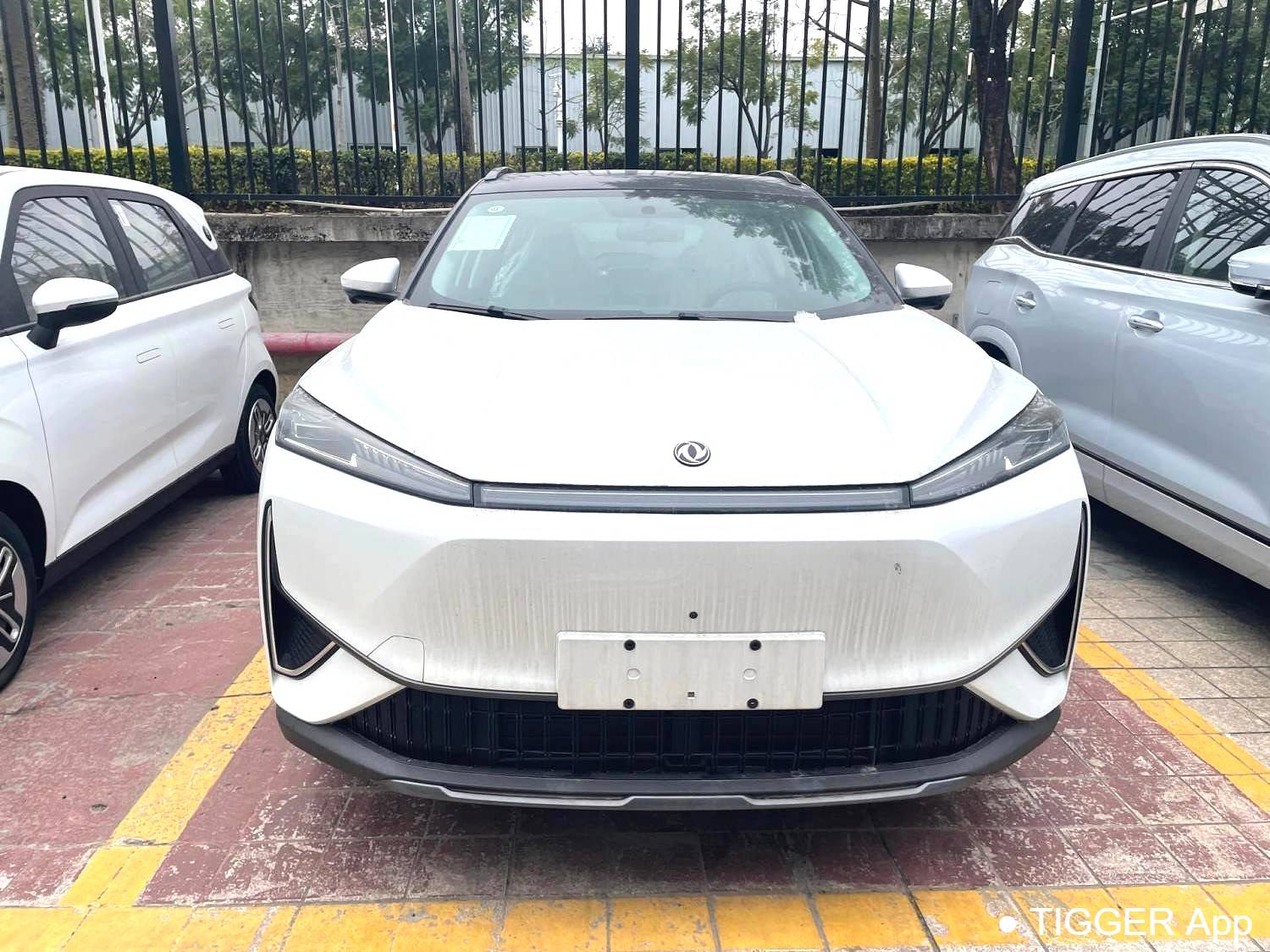 AEOLUS 2025 L7 110 Long Range Comfort Type