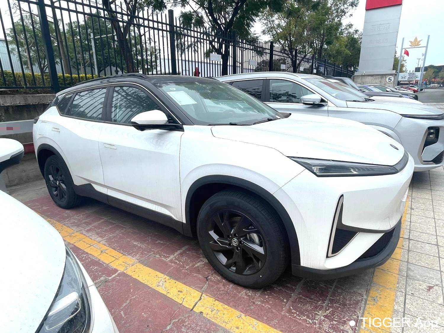 AEOLUS 2025 L7 110 Long Range Comfort Type