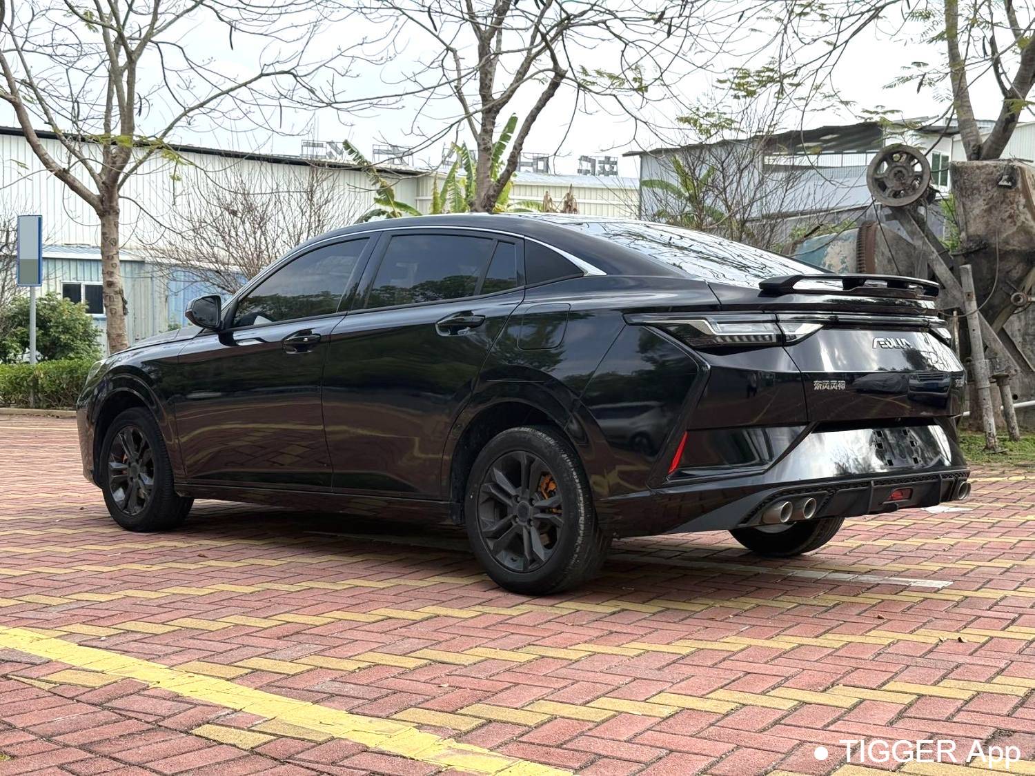 AEOLUS 2021 Yi Xuan 230T Automatic Honor Edition