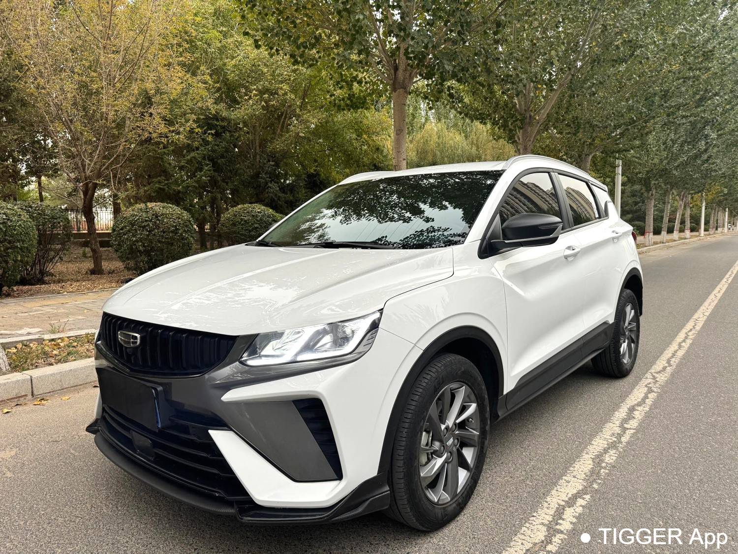 Geely 2025 Coolray Binyue L 1.5TD DCT surpasses