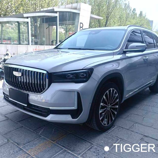 Geely 2024 Monjaro Oil Mix 1.5T Tiangong Edition