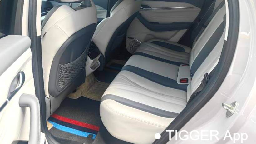 Geely 2024 Monjaro Oil Mix 1.5T Tiangong Edition