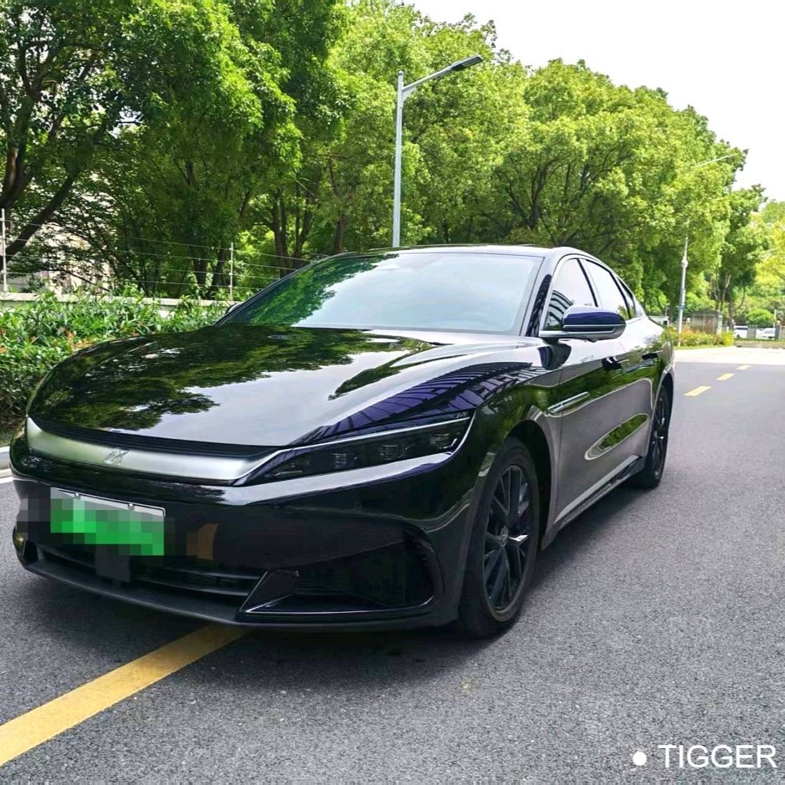 BYD 2025 HAN DM-i 125KM Elite Type