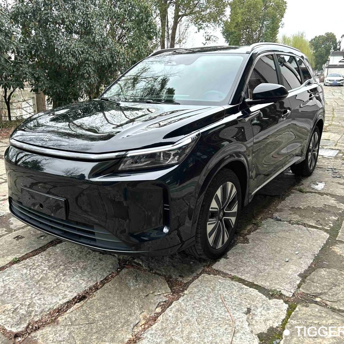 LanDian 2025 E5 PLUS 165km Long Range Flagship Edition 5-seater