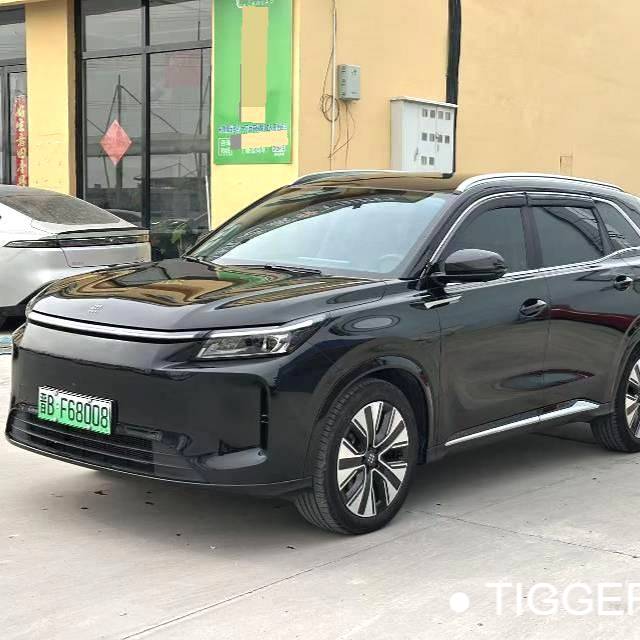 LanDian 2025 E5 PLUS 165km Long Range Travel Comfort Edition 7-seater