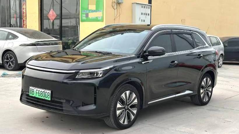 LanDian 2025 E5 PLUS 165km Long Range Travel Comfort Edition 7-seater