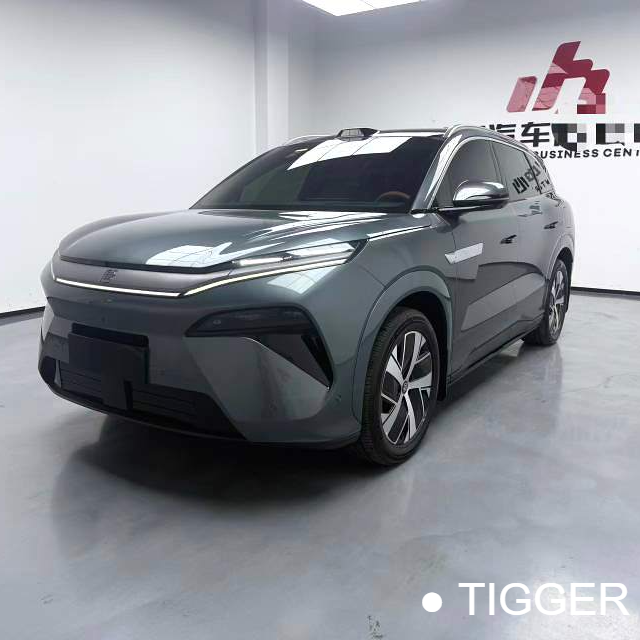 BYD 2025 TANG L DM 215KM laser radar flagship model Used Car