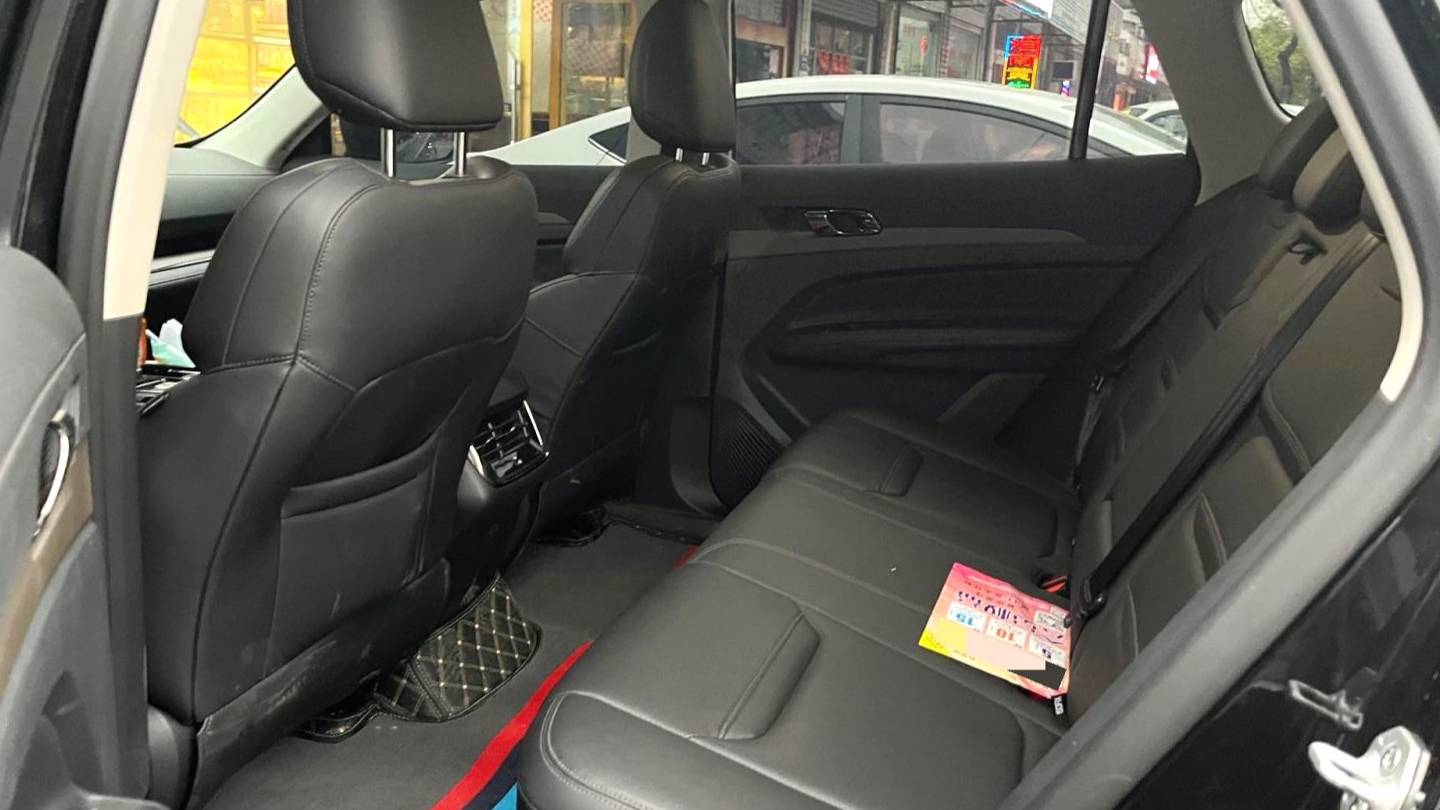 Ford 2023 Territory EcoBoost 170 Platinum Collar Type