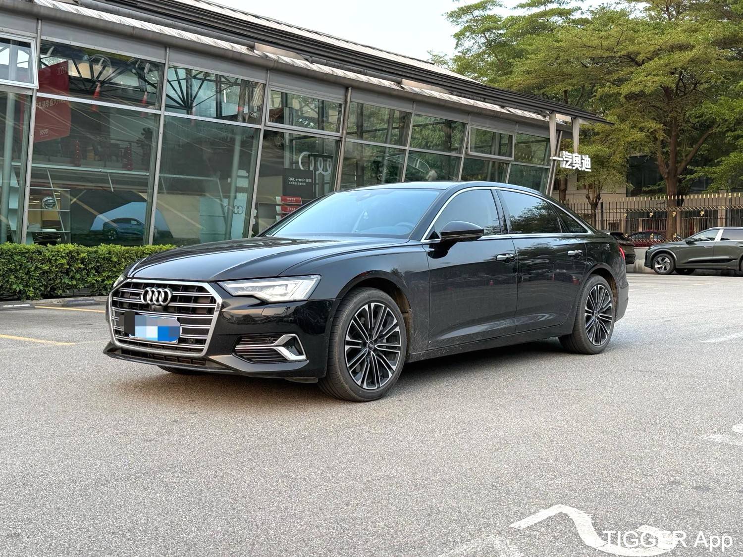 Audi 2024 A6L 45 TFSI quattro Selected Elegance Type