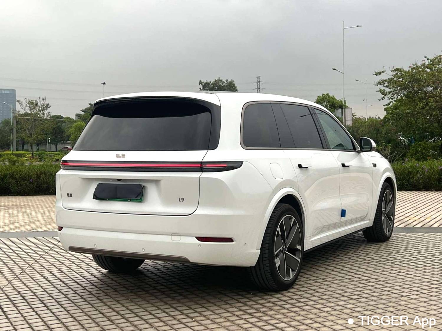 Li Auto 2025 L9 Ultra Intelligent Renewal Version