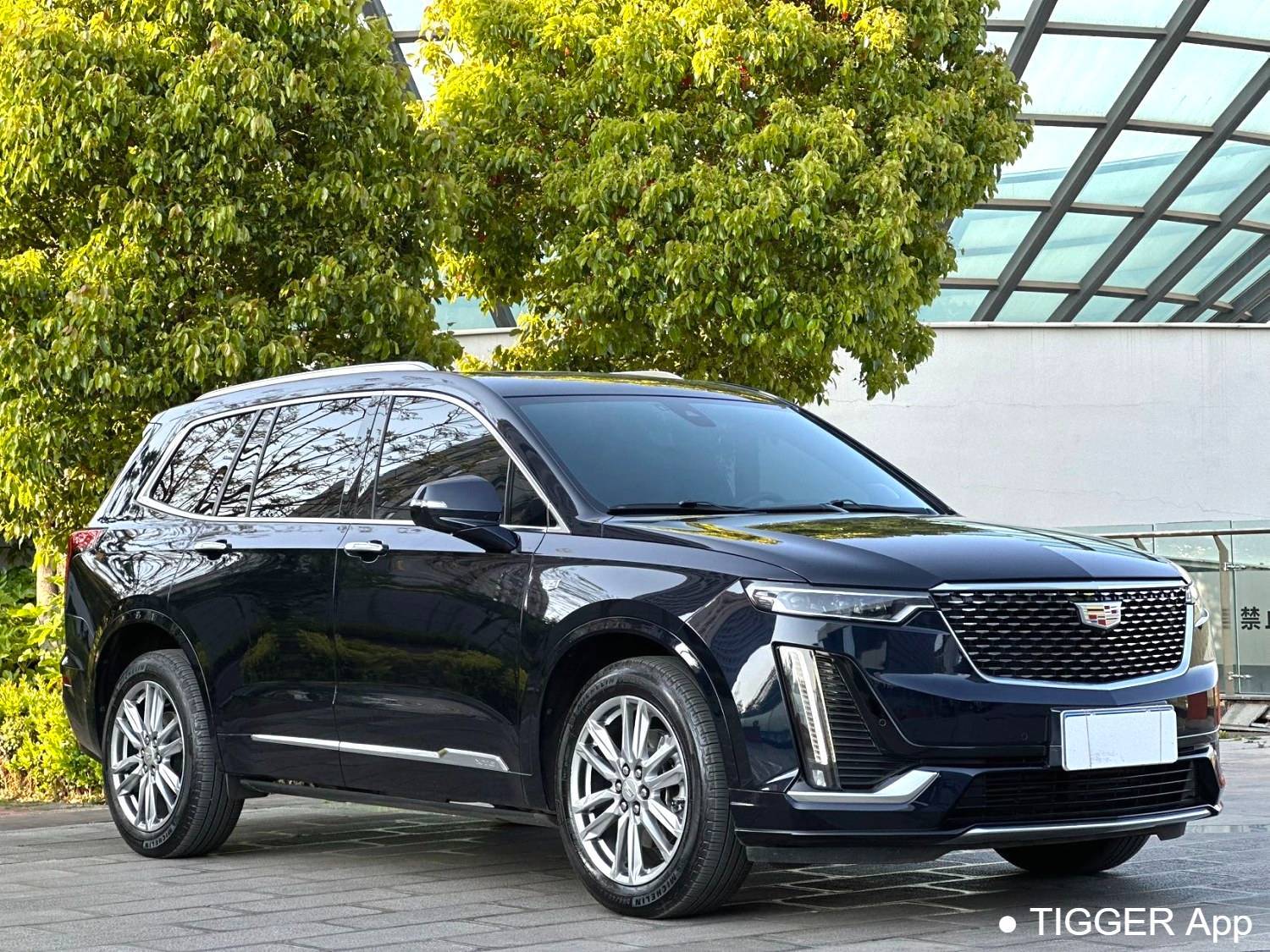 Подержанный CADILLAC 2022 XT6 2.0T Six seater 4WD Luxury 120th Anniversary Limited Edition