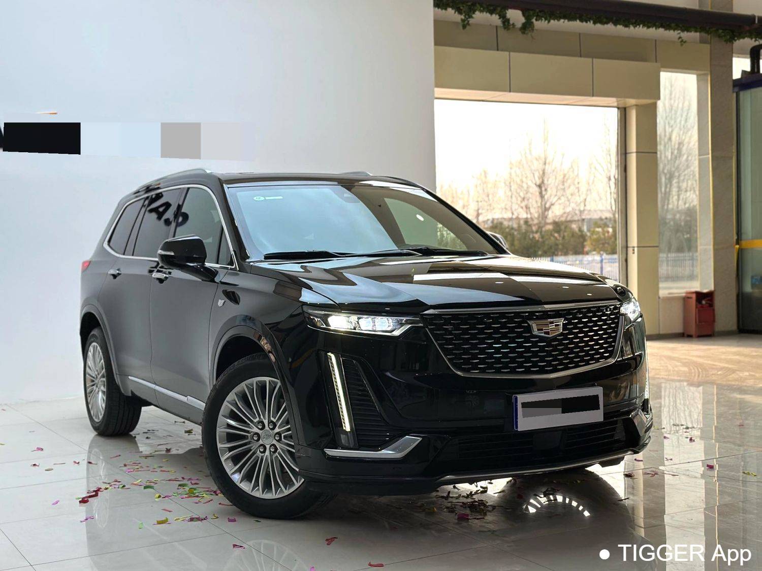 Подержанный CADILLAC 2025 XT6 2.0T Six seater 4WD Luxury Executive Classic Edition