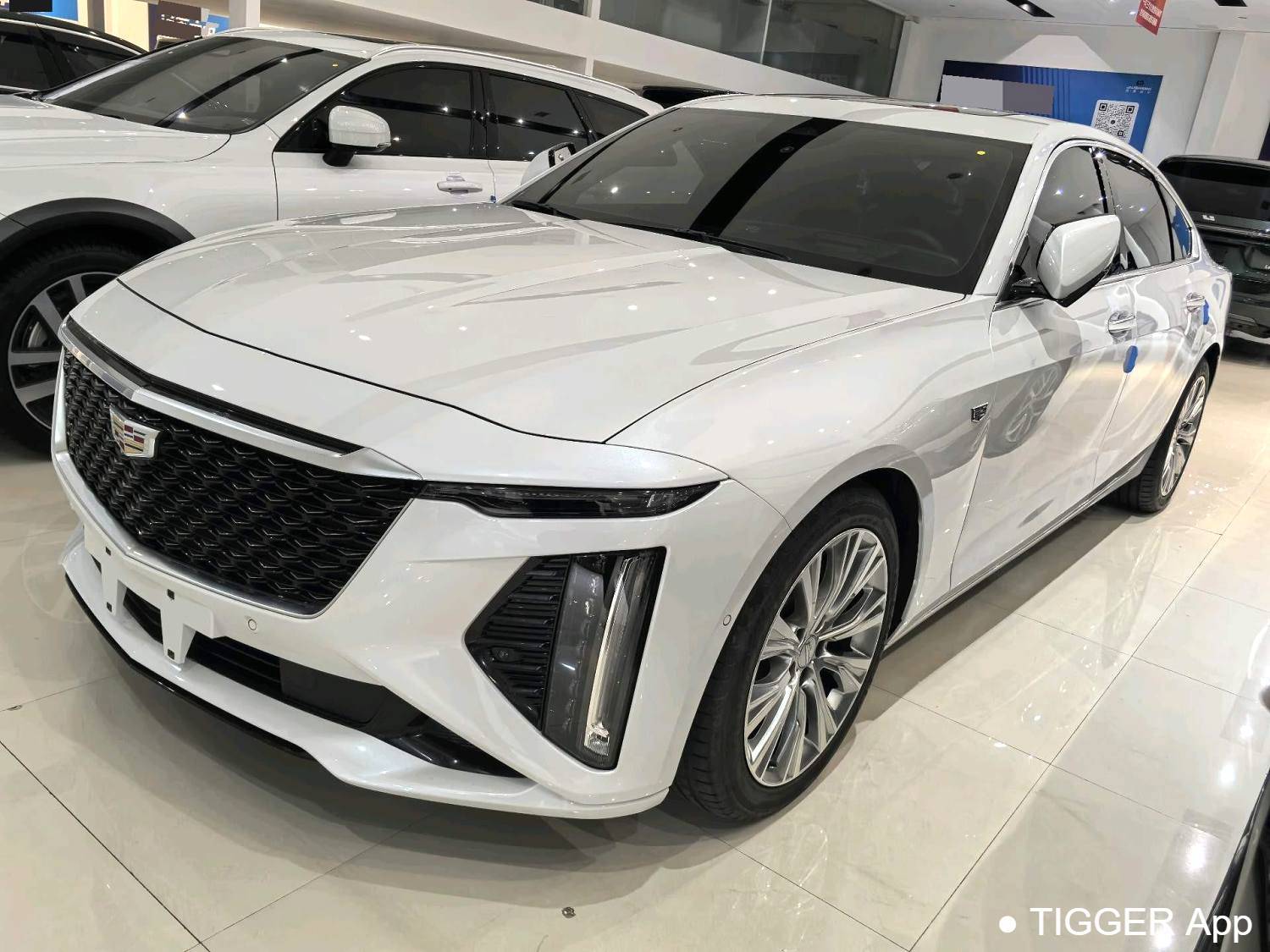 Подержанный CADILLAC 2023 CT6 28T Platinum Edition