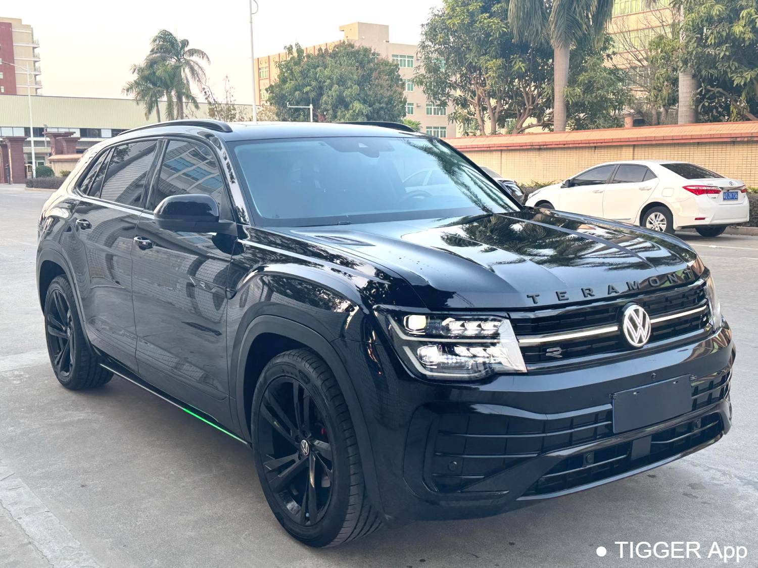 Volkswagen 2024 ‌Teramont 380TSI 4WD Respectful Flagship Edition