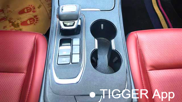 FORTHING 2022 T5 EVO 1.5TD DCT Starry Edition Heatwave