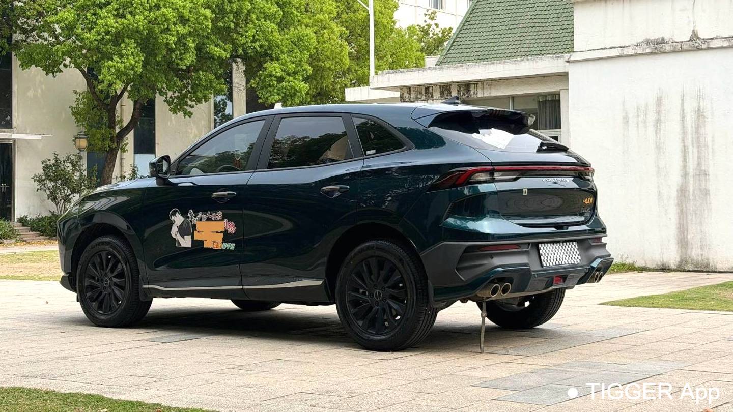 FORTHING 2024 T5 EVO Rampage 1.5TD DCT Platinum Edition