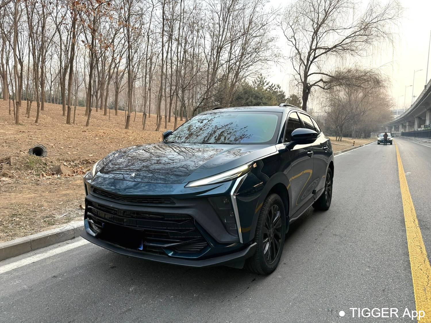 used FORTHING 2024 T5 EVO Rampage 1.5TD DCT Mach Diamond Edition