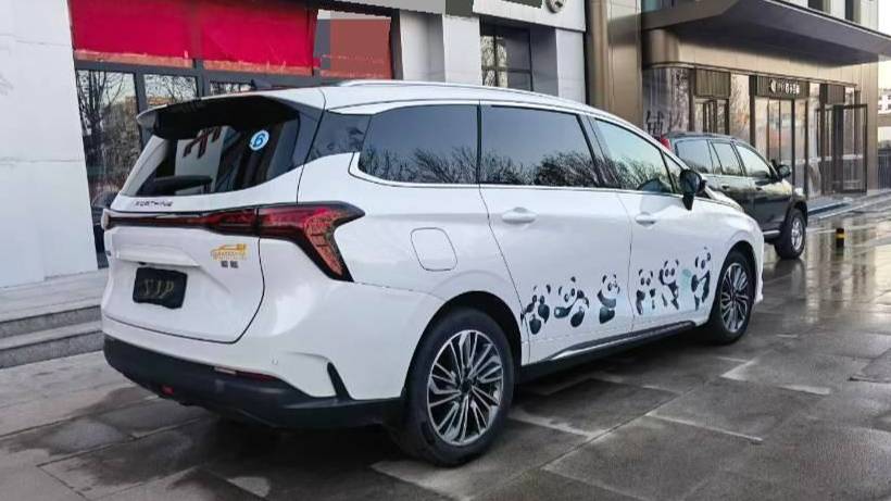 FORTHING 2023 Yacht 1.5T DCT Starry Sky Premium Edition