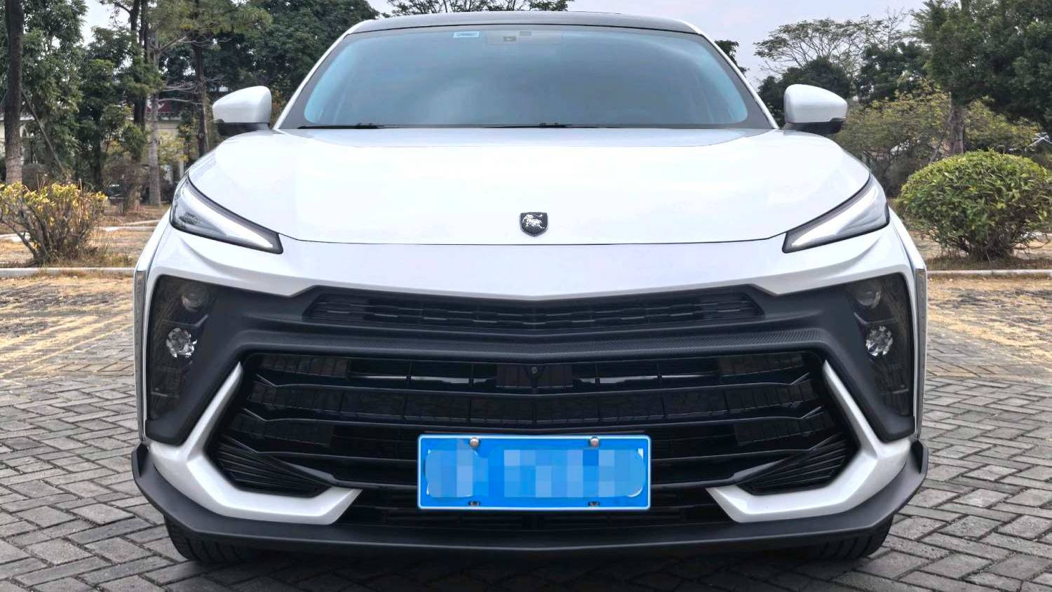 FORTHING 2024 T5 EVO 1.5TD DCT Starry Sky Edition