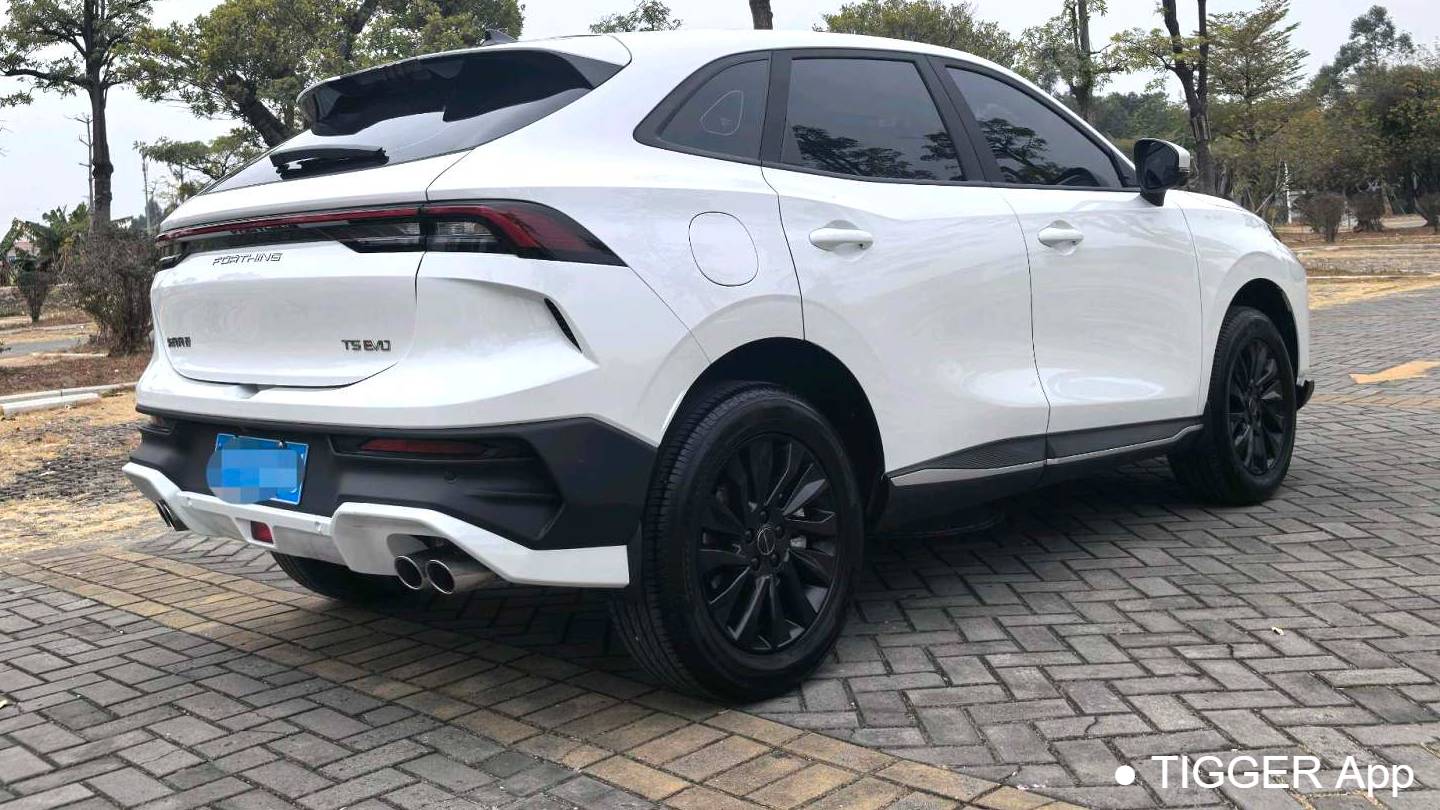 FORTHING 2024 T5 EVO 1.5TD DCT Starry Sky Edition