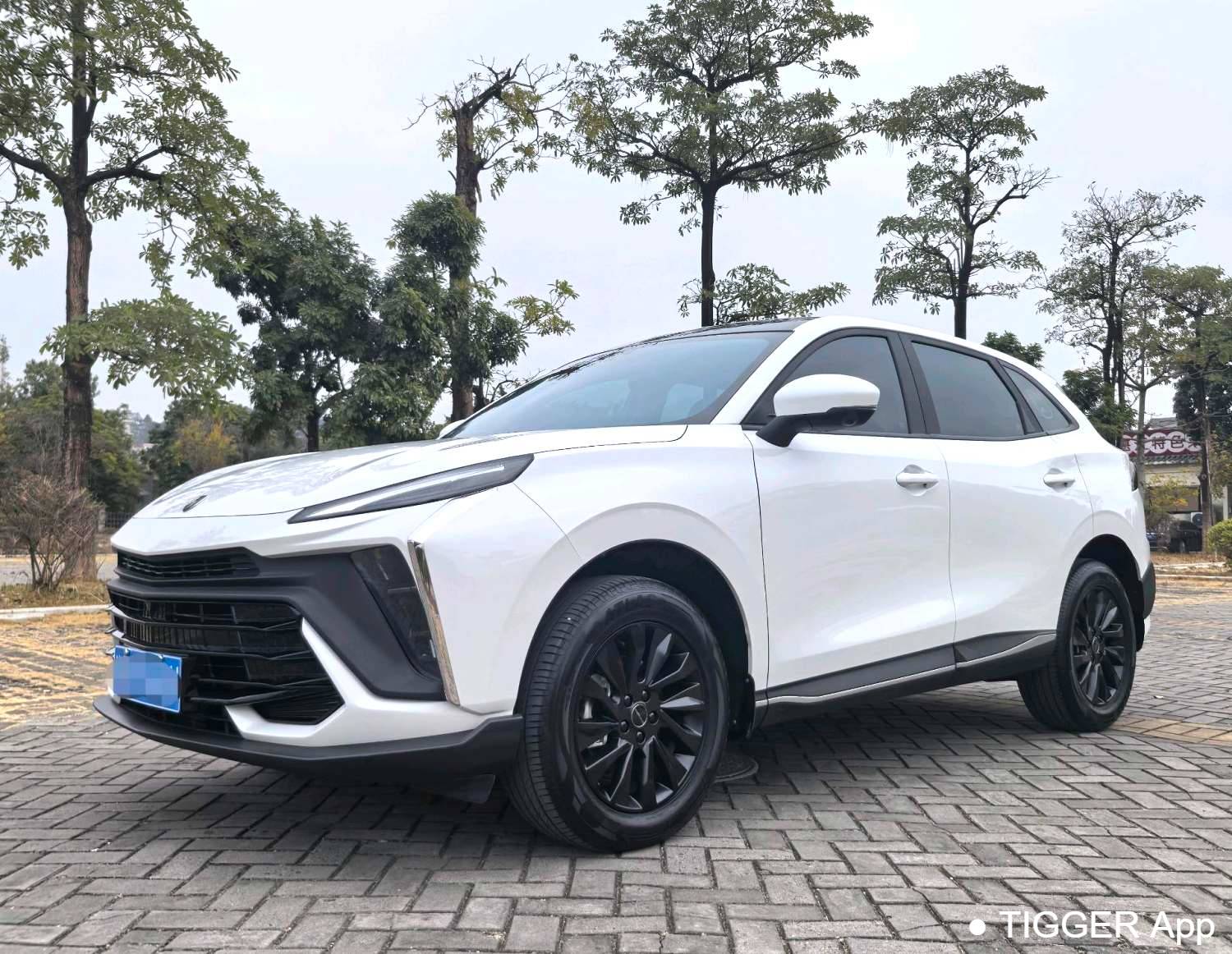 used FORTHING 2024 T5 EVO 1.5TD DCT Starry Sky Edition