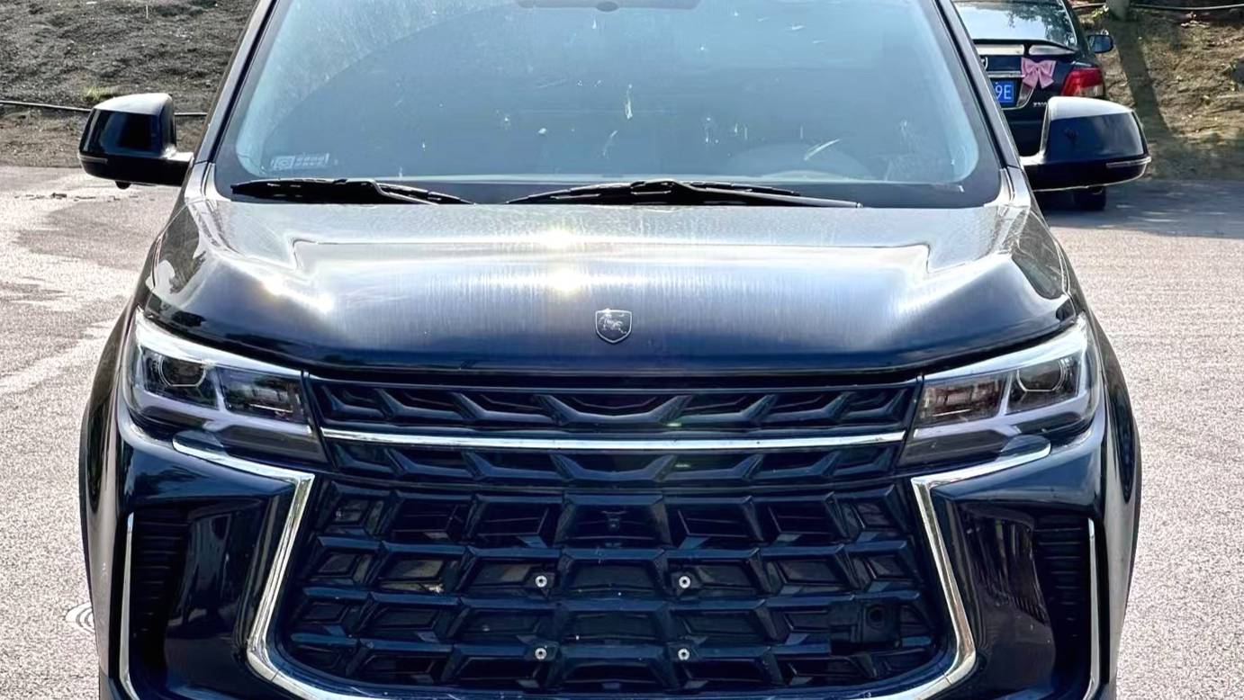 FORTHING 2025 T5 Shengshi 1.6L CVT Good Fortune Peanut Edition Five seater