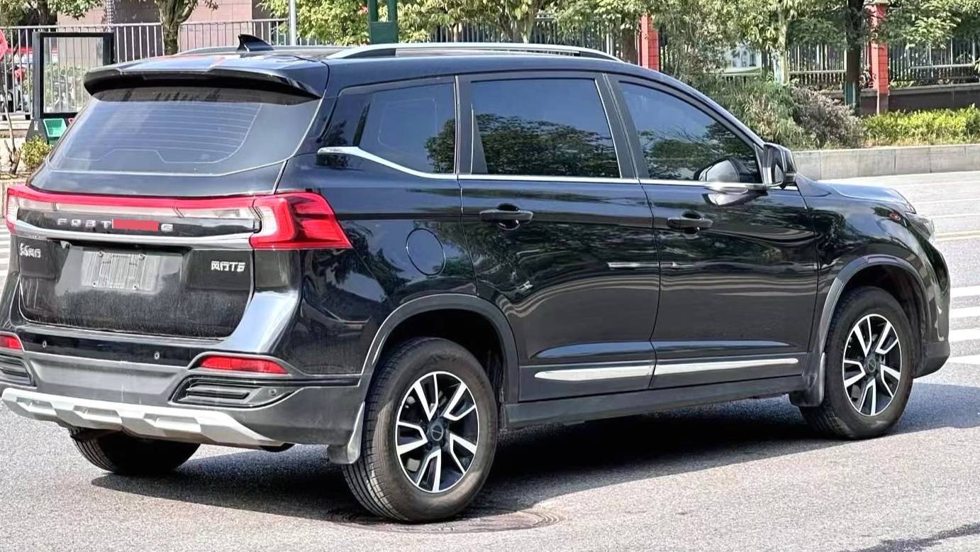 FORTHING 2025 T5 Shengshi 1.6L CVT Good Fortune Peanut Edition Five seater