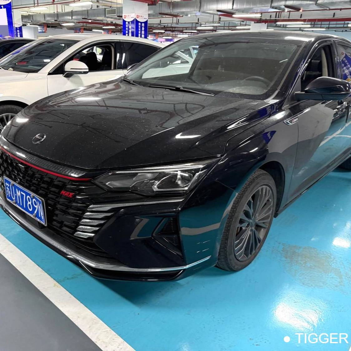 AEOLUS 2023 Yi Xuan MAX 1.5T Super Cute Dad Edition 二手车