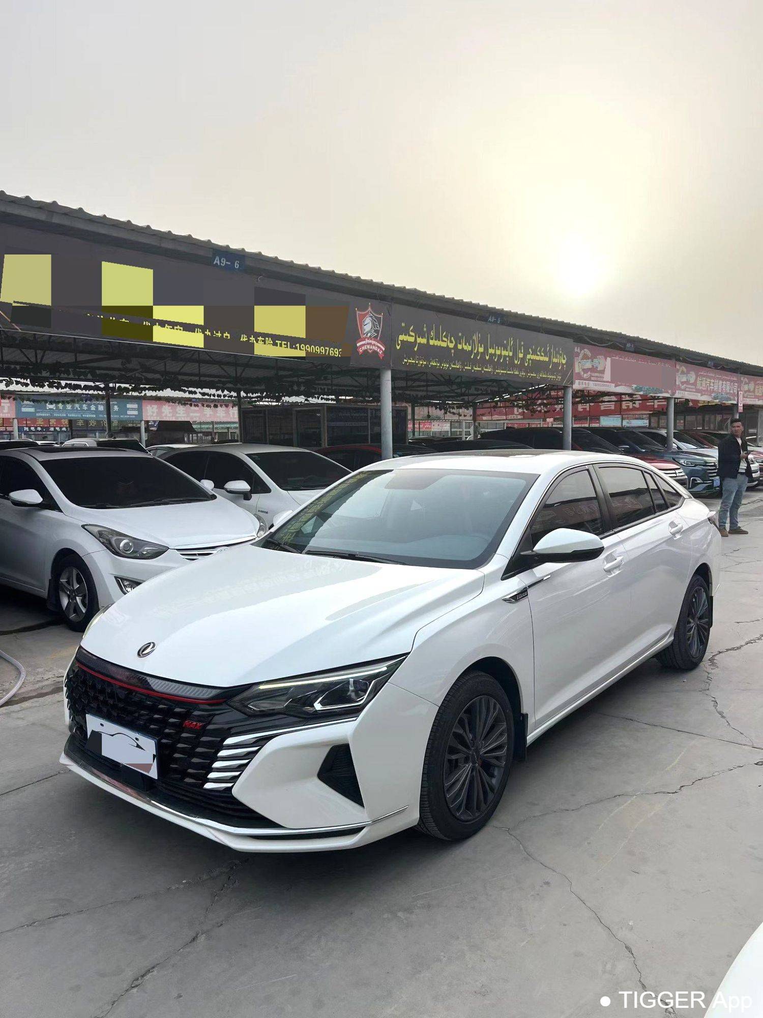 二手AEOLUS 2023 Yi Xuan MAX 1.5T Super Burning Cool Dad Edition