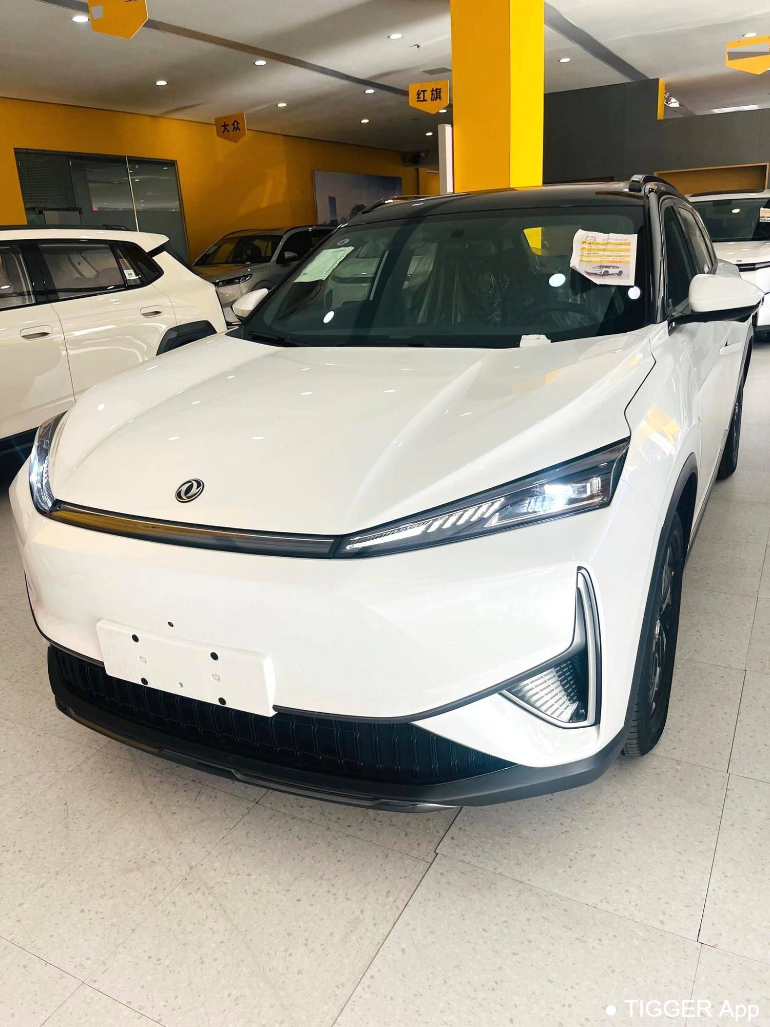 AEOLUS 2025 L7 110 Long Range Comfort Type