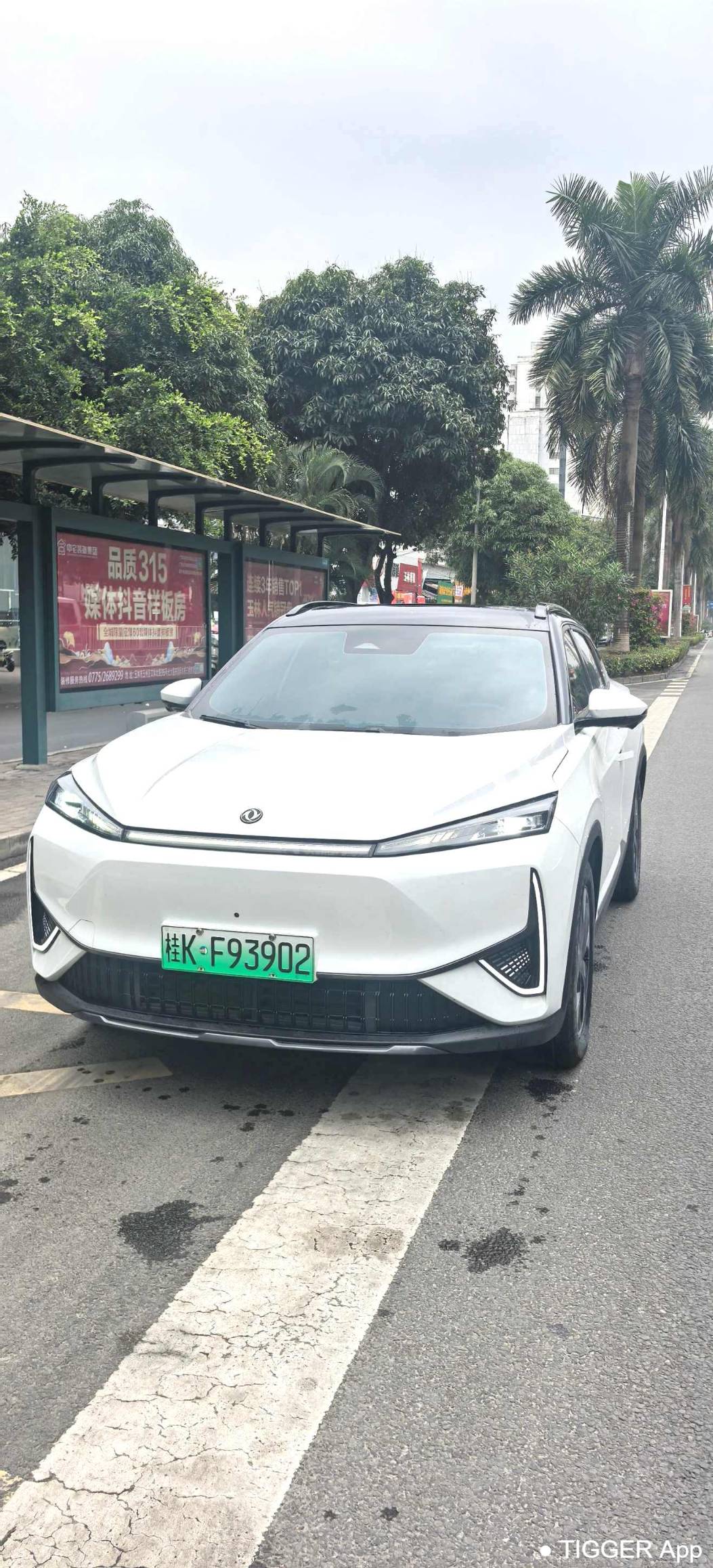 AEOLUS 2024 L7 205 Plus