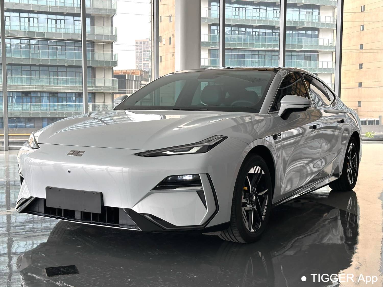 GALAXY 2024 E8 550km rear wheel drive PRO