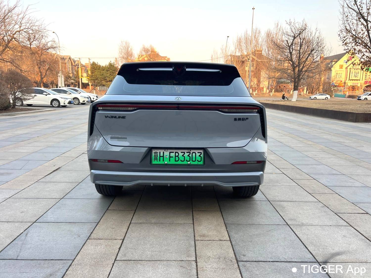 used Venucia‌ 2023 Venucia V DD-i 110km iE version