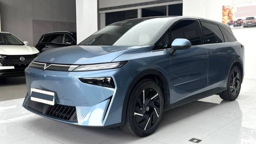 Venucia‌ 2023 VX6 520 Max