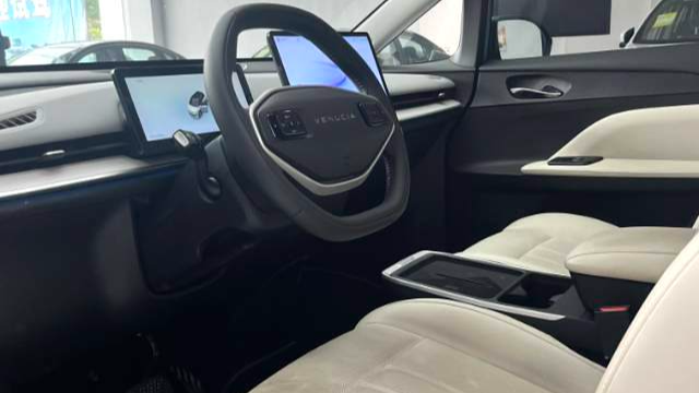 Venucia‌ 2023 VX6 520 Max