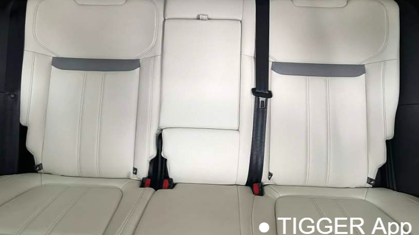 Venucia‌ 2023 VX6 520 Max