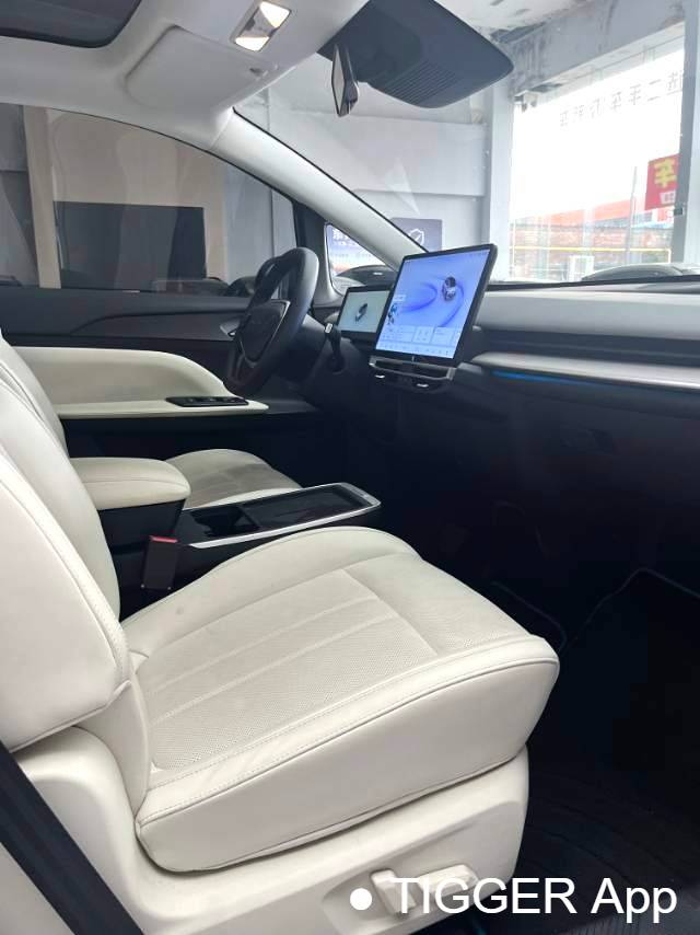 used Venucia‌ 2023 VX6 520 Max